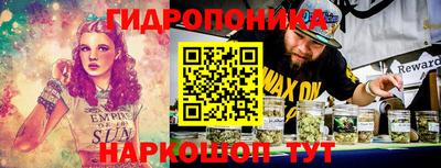 шишки Камышлов